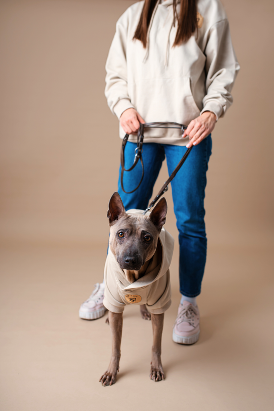 Pet Hoodie Beige