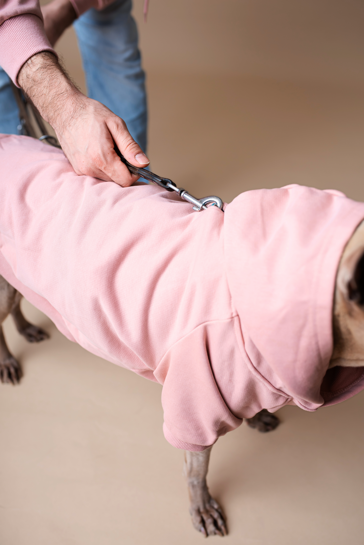 Pet Hoodie Pink