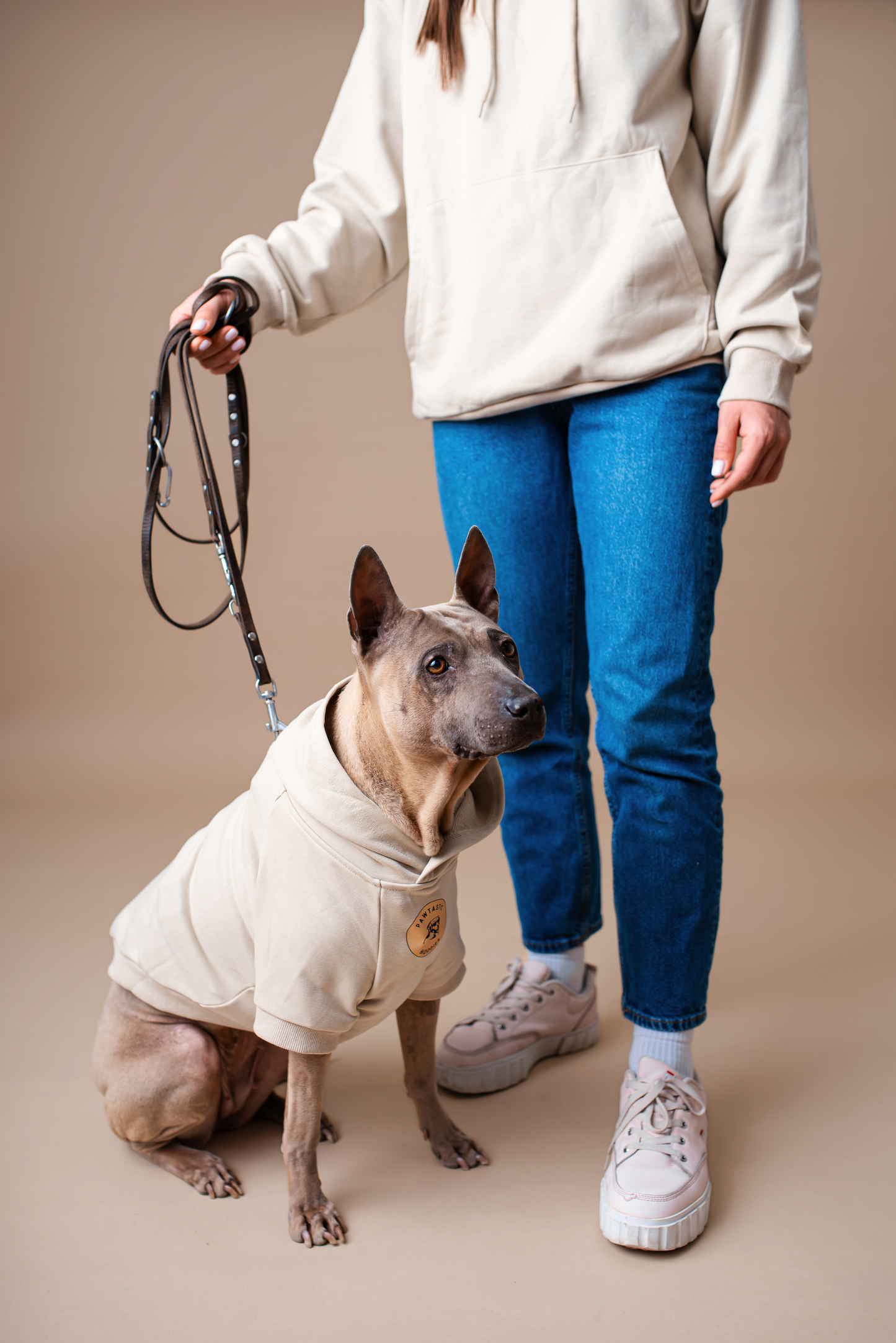 Pet Hoodie Beige