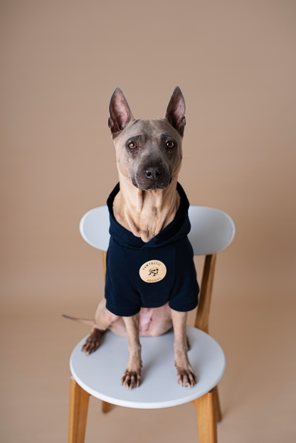 Pet Hoodie Navy Blue