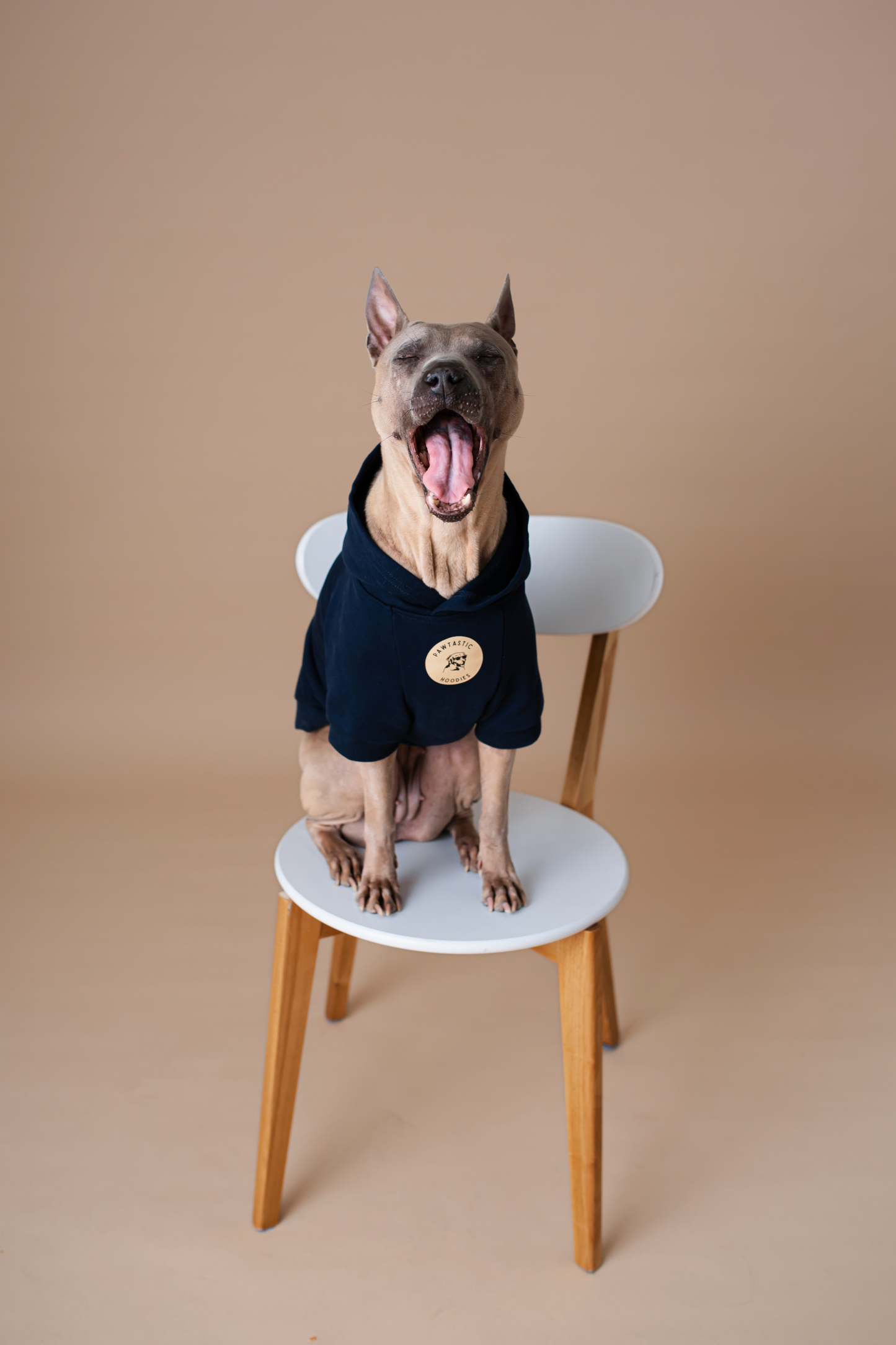 Pet Hoodie Navy Blue