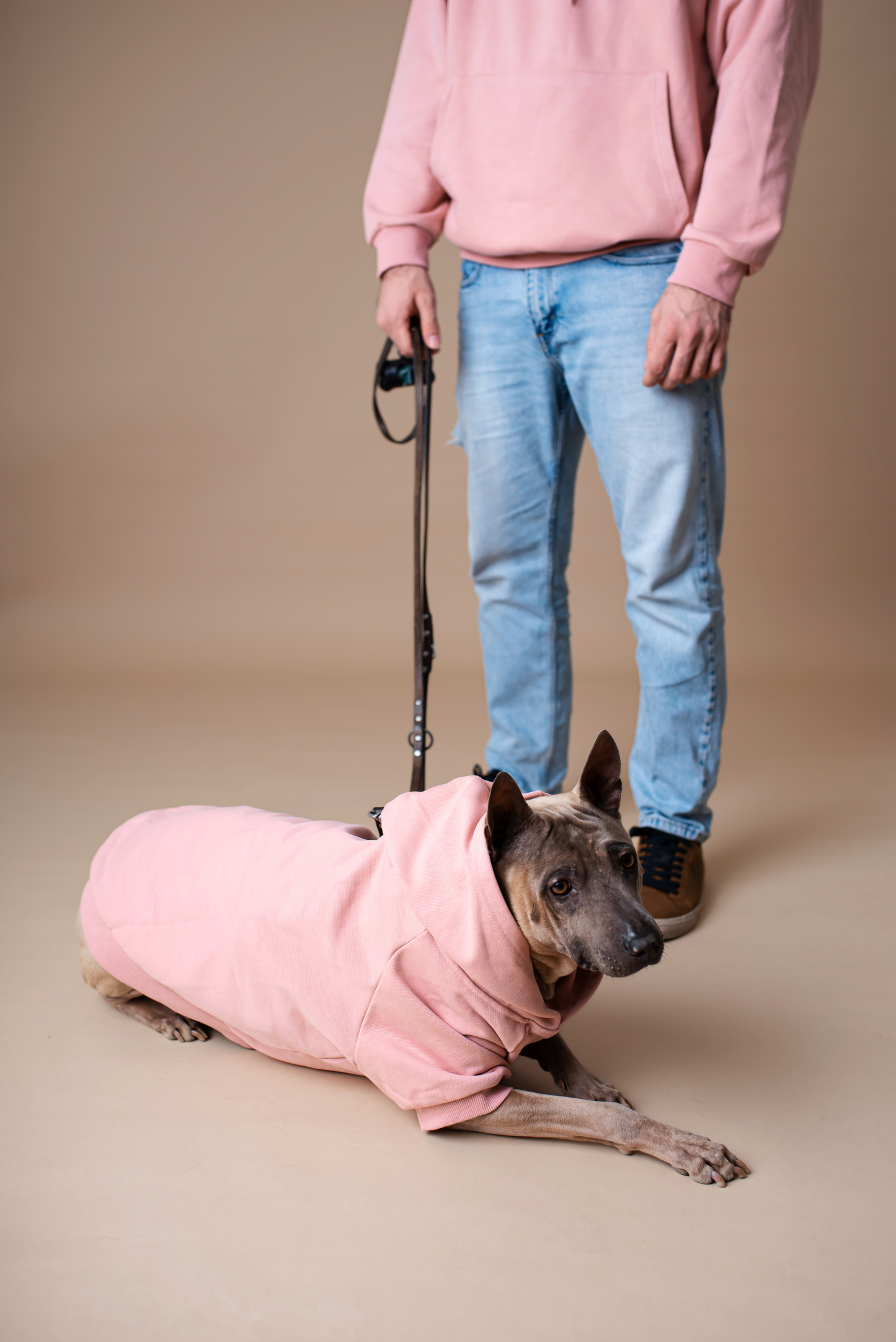 Pet Hoodie Pink