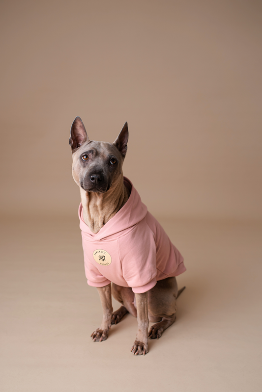Pet Hoodie Pink
