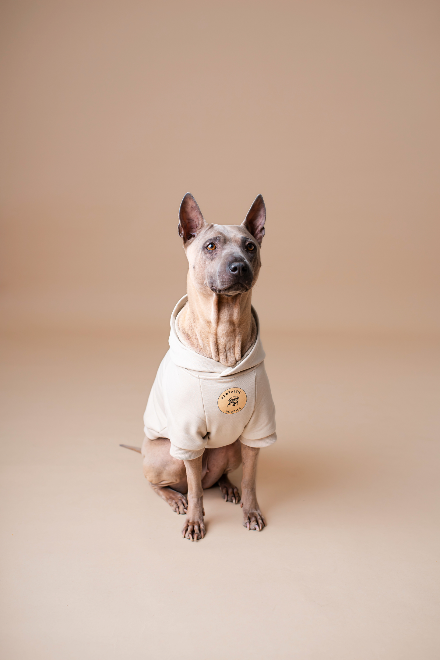 Pet Hoodie Beige